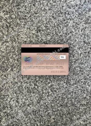 USA Maryland Howard Personal bank mastercard photolook back